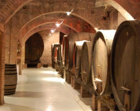 cellar in tuscany tour