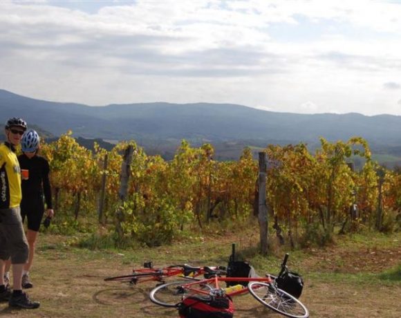 wineyards in tuscany by bike