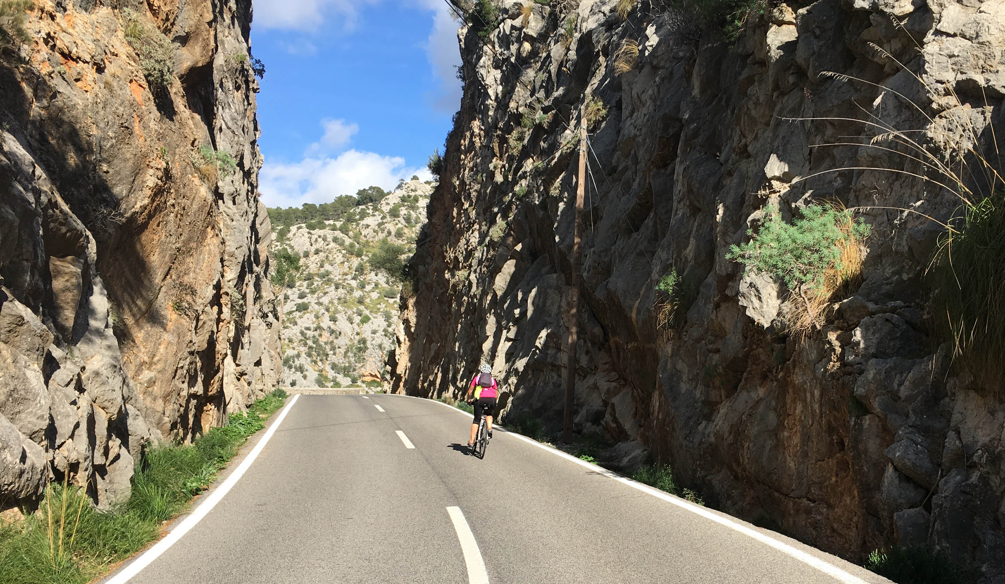 Bike Tour Mallorca Island From Palma To Serra Tramuntana Cicloposse within Cycling Tips Mallorca