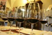 Montalcino wine tasting