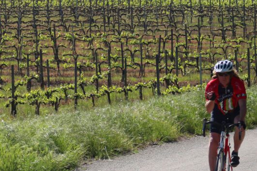 tuscany bike adventure