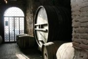wine tour in tuscany