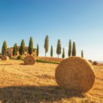 Short escape and getaway in Tuscany