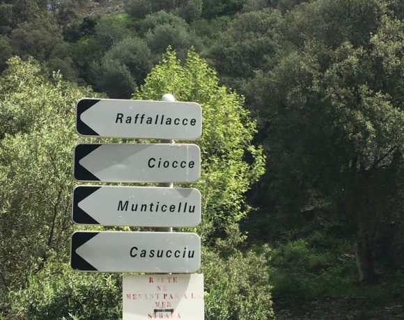 Corsica active tour
