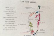 corsica wine tour
