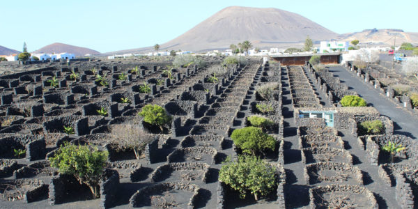 bike toru lanzarote island