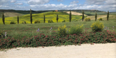 best cycling in Tuscany