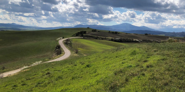 orcia marzo stradebinahce Home2023