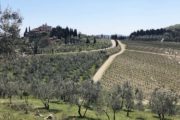 gravel bike tour tuscany