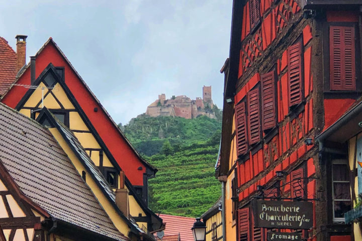 alsace04 scaled Year in Review…2021!