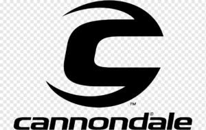 cannondale gravel bike - cicloposse