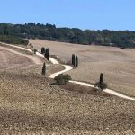 What are the white roads in Tuscany ?
