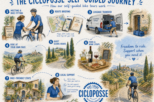 info graphic self guided bike tour